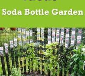 13 Plastic Bottle Vertical Garden Ideas | Soda Bottle Garden | Hometalk