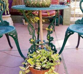 the beloved hoyas care and repotting tips, container gardening, flowers, gardening