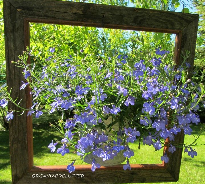 s 23 awesome things you didn t know you could do with old picture frames, crafts, repurposing upcycling, Showcase a potted plant or container garden