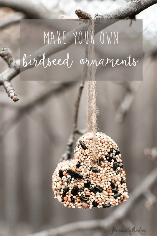 how to make birdseed ornaments, christmas decorations, crafts, outdoor living, seasonal holiday decor