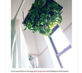 diy hanging shower planter, bathroom ideas, container gardening, gardening