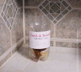catch release fruit fly trap from soda bottle, crafts, pest control, repurposing upcycling