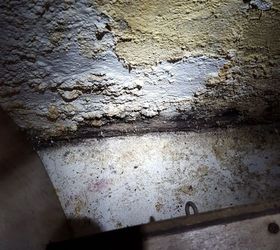 q what is the safest way to get rid of black mold myself, cleaning tips, house cleaning, This is black mold in my basement for a couple of years wondering how to get rid of it