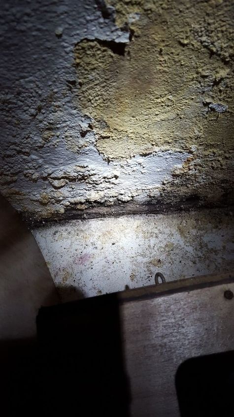 Safest Way To Get Rid Of Black Mold, How To Get Rid Of Black Mold In The Basement
