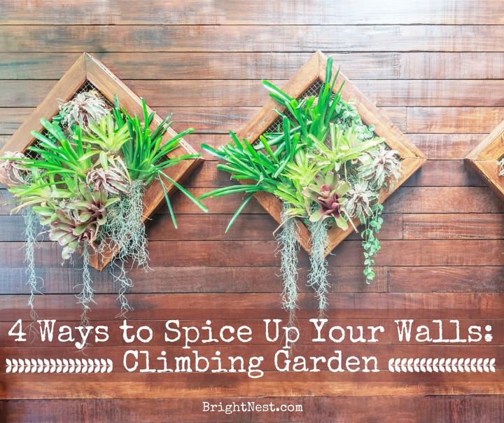 4 ways to spice up your walls, chalkboard paint, container gardening, gardening, home decor, painting, wall decor