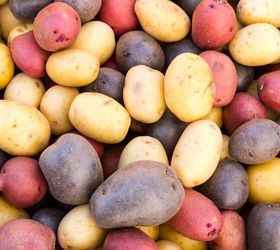 How to Grow Potatoes