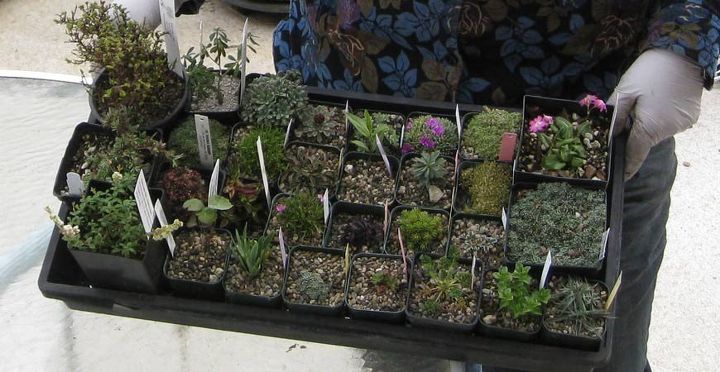 winter gardening now s the time to get a jump on spring planting, container gardening, gardening