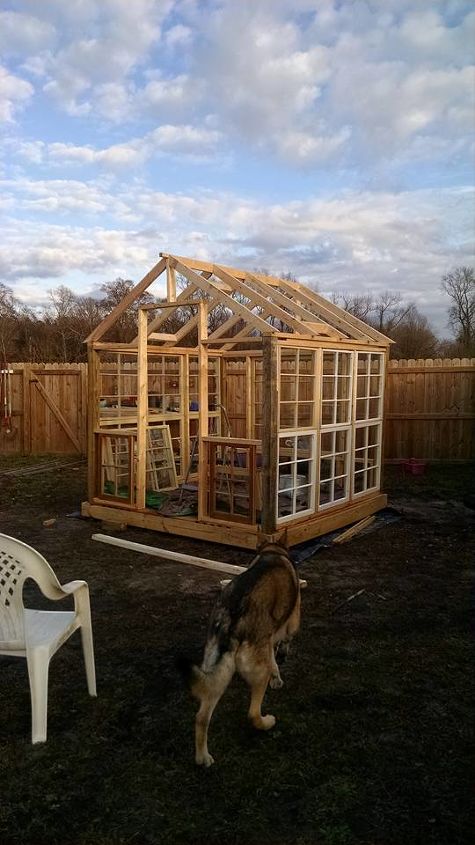 my big fat greenhouse project part deux, diy, gardening, home improvement, outdoor living