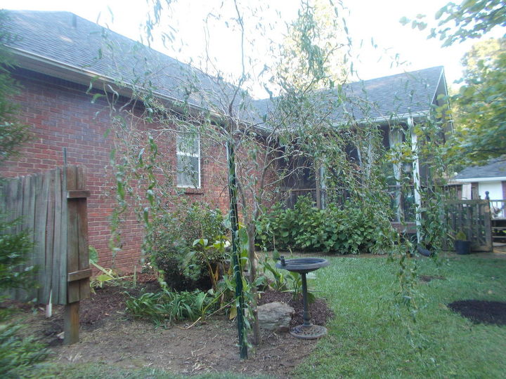 back screened porch needs floor support plus gutter rerouting