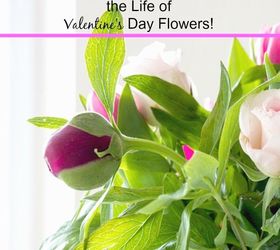 how to extend the life of your valentine s day flowers valentinesday, flowers, gardening, how to, seasonal holiday decor, valentines day ideas