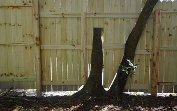 Wood Fence Upgrade