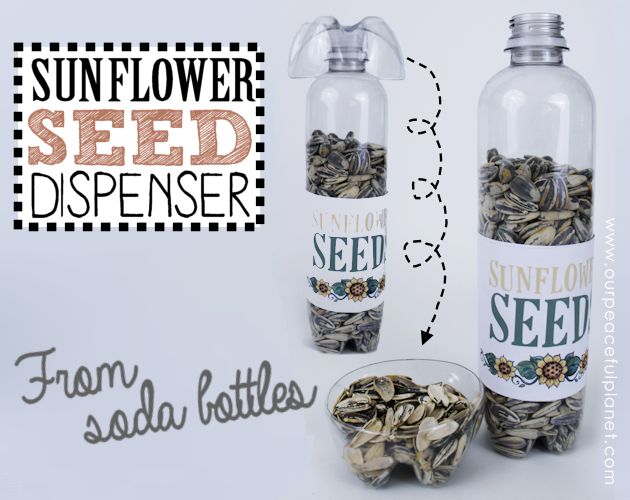 human sunflower seed dispenser, crafts, how to