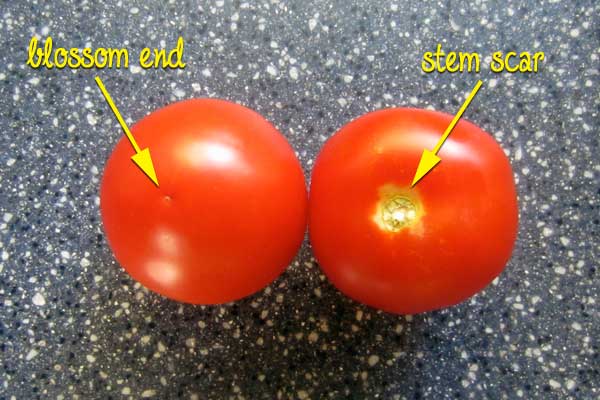 how to wash tomatoes, gardening, how to
