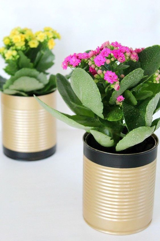 diy recycled tin can flower pots, container gardening, crafts, gardening, repurposing upcycling