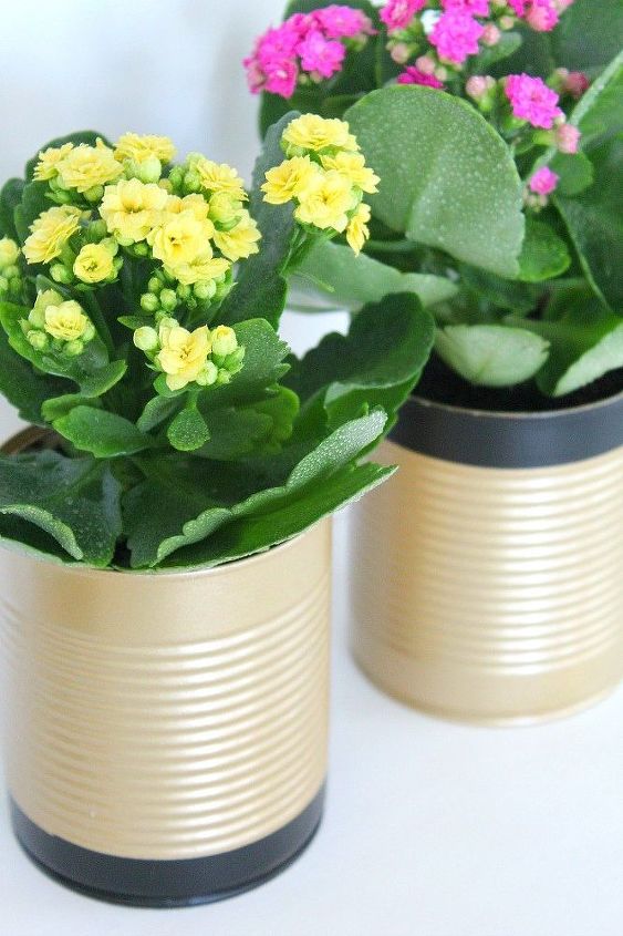 diy recycled tin can flower pots, container gardening, crafts, gardening, repurposing upcycling