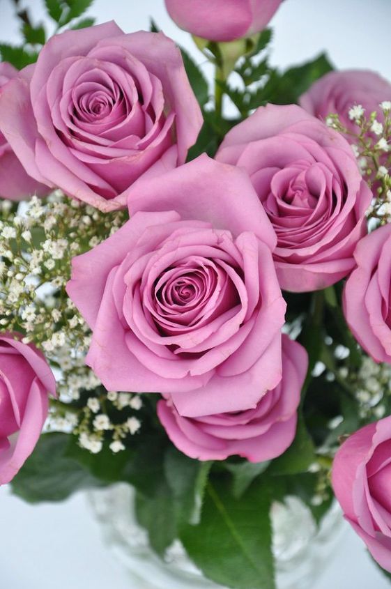 tips to make your valentine s day roses last longer, container gardening, flowers, gardening, seasonal holiday decor, valentines day ideas