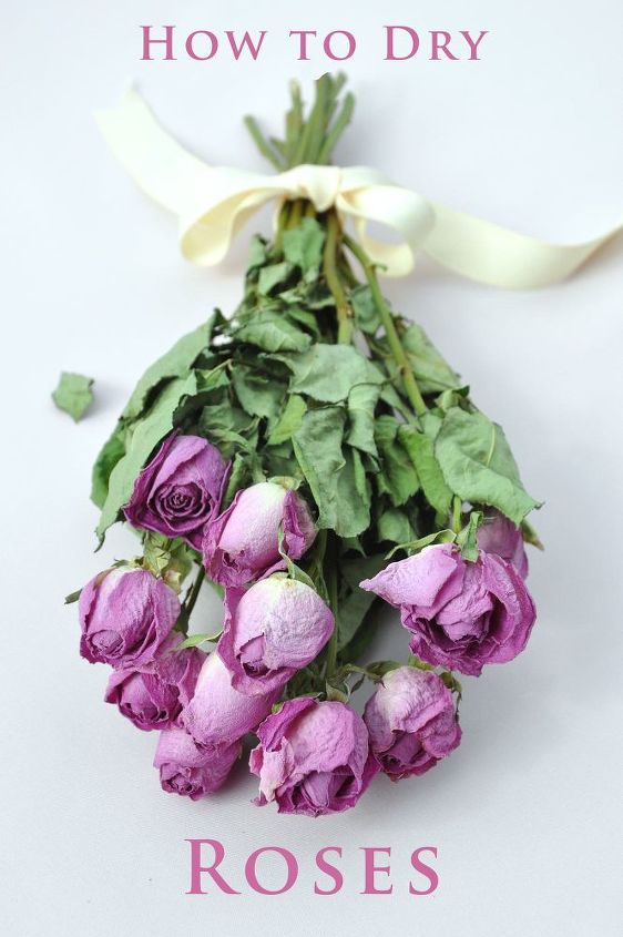 tips to make your valentine s day roses last longer, container gardening, flowers, gardening, seasonal holiday decor, valentines day ideas