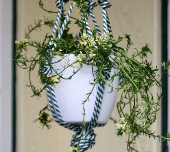 s 12 awesome ideas for gardeners who are impatient for spring, gardening, Make decoration for their potted plants