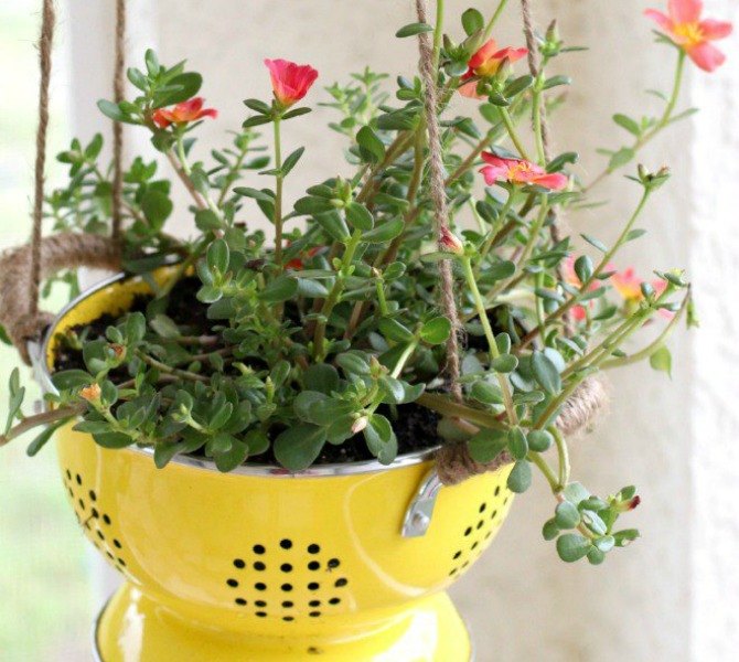 s 12 awesome ideas for gardeners who are impatient for spring, gardening, Upcycle containers for the garden
