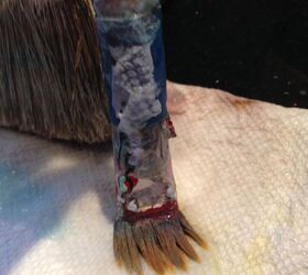 dried paintbrush rescue, cleaning tips, how to, painted furniture, painting