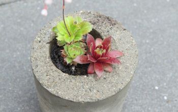 Make Your Own Concrete Planters From Recycling!