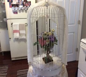 Bought an Ugly Old Bird Cage