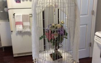 Bought an Ugly Old Bird Cage