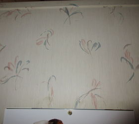 can i paint over vinyl wall paper