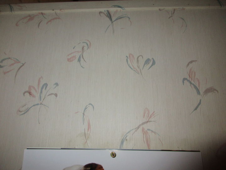 can i paint over vinyl wall paper