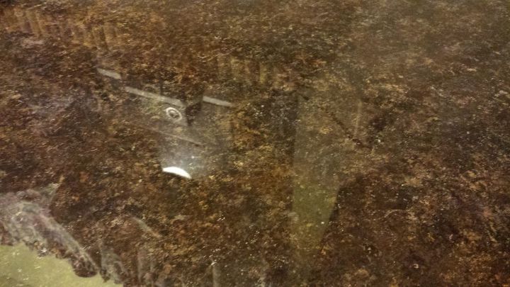 Finally Poured Envirotex Lite On Our Travertine Counters Hometalk