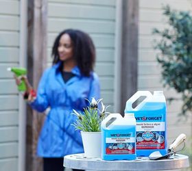 4 reasons not to use bleach to remove your outdoor mold, cleaning tips, home maintenance repairs, outdoor living
