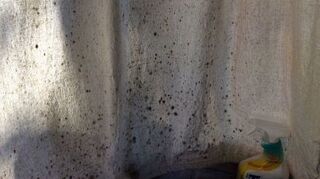 How Do I Get Mold Out Of Clothing Hometalk