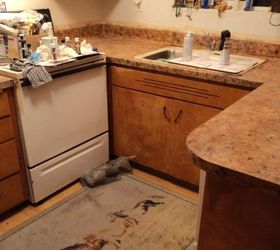 diy painted counter tops, countertops, painting, wrong color