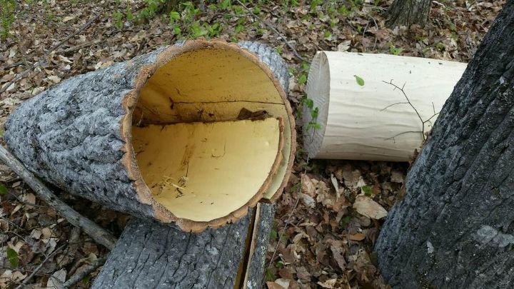 Bark Walls Harvesting Poplar Bark Hometalk