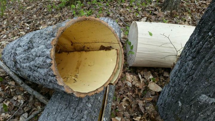 bark walls harvesting poplar bark, diy, repurposing upcycling, wall decor