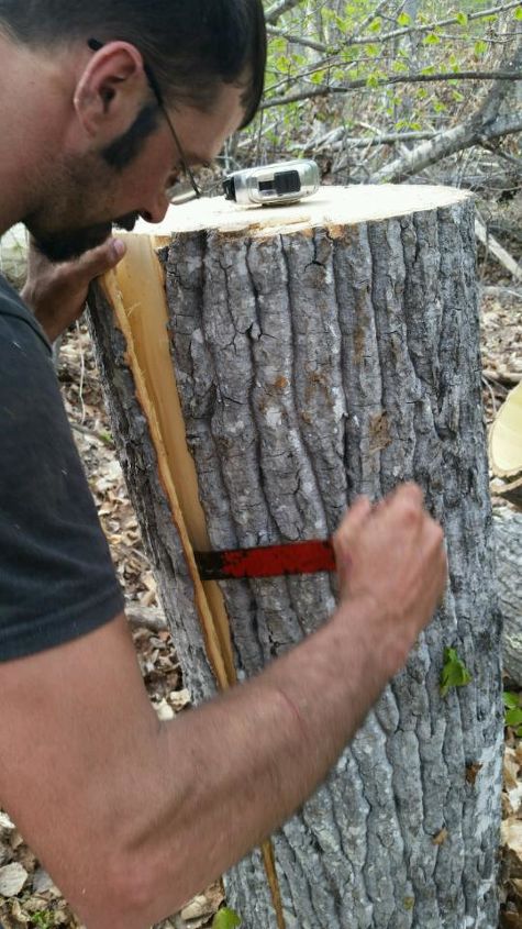 bark walls harvesting poplar bark, diy, repurposing upcycling, wall decor