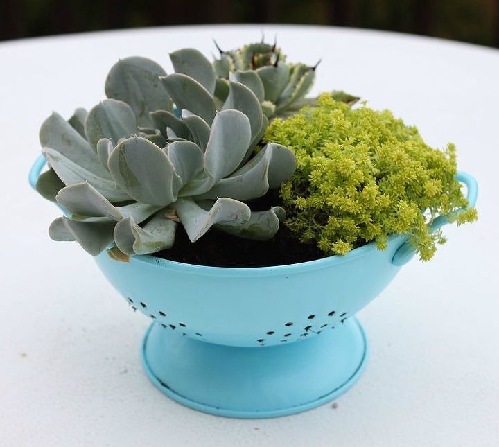 s 13 planter ideas that blow all other planters out of the water, container gardening, gardening, repurposing upcycling, Turn a colander into a succulent centerpiece