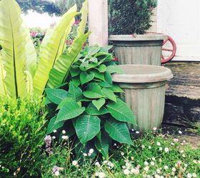 13 Planter Ideas That Blow All Other Planters Out of the Water Hometalk