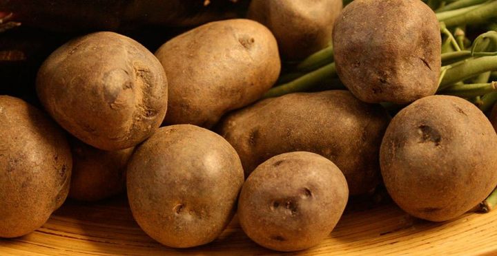 6 razes deliciosas pelas quais voc deve plantar batatas nesta primavera
