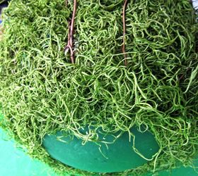 moss balls and topiaries size does matter, crafts, gardening
