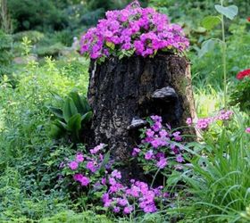 10 Amazing Tree Stump Ideas for the Garden