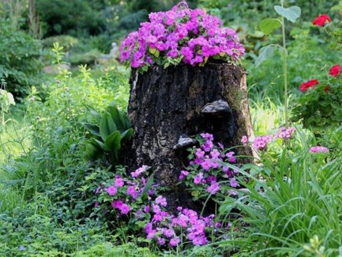 How I Hide Or Camouflage A Tree Stump Hometalk