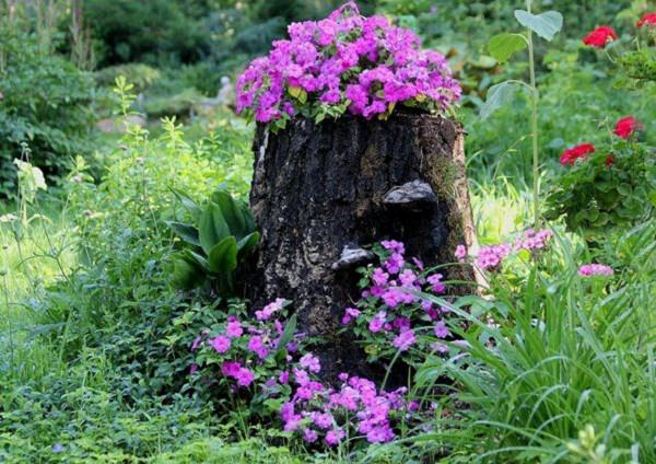 10 Amazing Tree Stump Ideas for the Garden | Hometalk