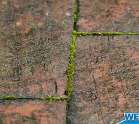 remove moss easy as pie, cleaning tips, concrete masonry, how to, 2 Defeat Moss on Your Driveway