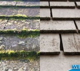 remove moss easy as pie, cleaning tips, concrete masonry, how to