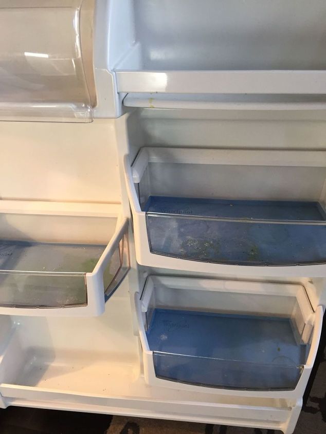 dicas para organizar sua geladeira