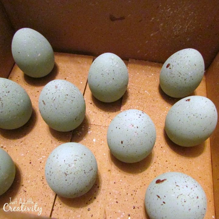 huevos de petirrojo moteados en madera
