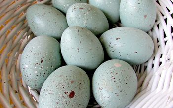 DIY Wood Speckled Robins Eggs