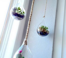 diy hanging globe and geo terrariums, diy, gardening, home decor, succulents, terrarium