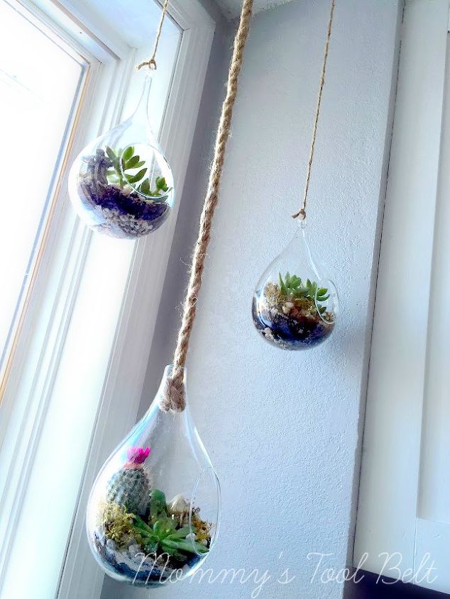 diy hanging globe and geo terrariums, diy, gardening, home decor, succulents, terrarium
